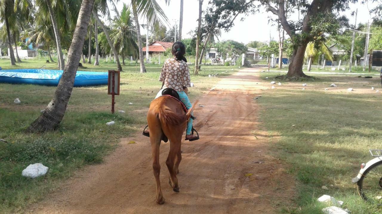 Arachiwil Green Nature Resort Puttalam Zewnętrze zdjęcie